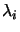$ \lambda_{i}$